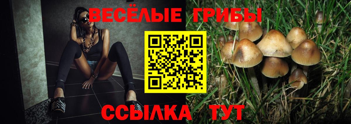 Моздок  Галлюциногенные грибы Magic Shrooms  Вход с VPN 